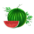 Organic food grade Watermelon seed Oil